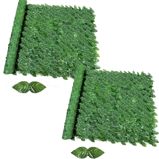 2450-35251.png